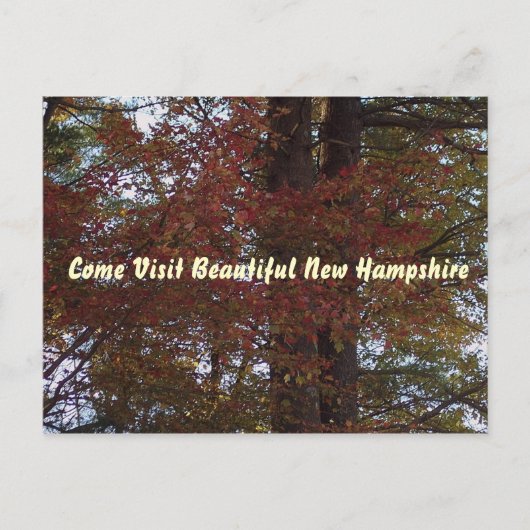 NH葉書 ポストカード (正面)