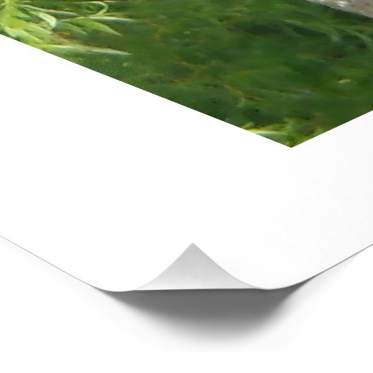 NH Gnarled Tree フォトプリント (角)