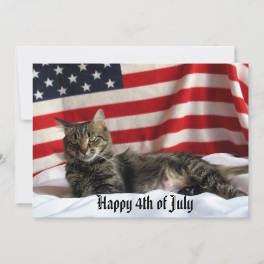 Nia The Cat's Happy Independence Day America シーズンカード (正面)