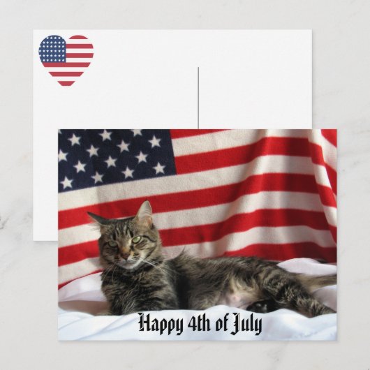Nia The Cat's Happy Independence Day America ポストカード (正面/裏面)