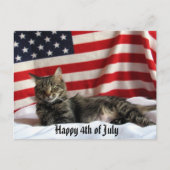 Nia The Cat's Happy Independence Day America ポストカード (正面)