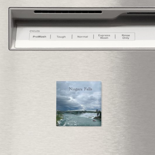Niagara Falls Souvenir Magnet マグネット (インサイチュ (食洗機))