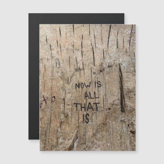 NIATIマグネット (正面/裏面)