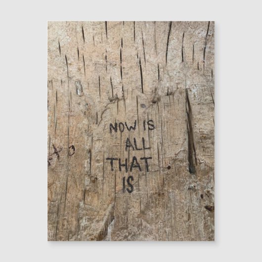 NIATIマグネット (正面)