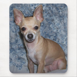 nibblesportrait マウスパッド