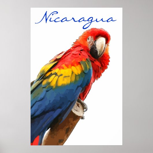 Nicaragua Scarlet Macaw Poster ポスター (正面)