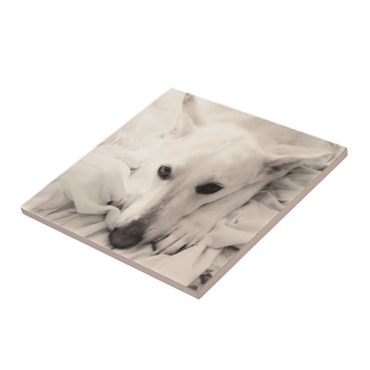 Nice & Cozy to TILE Small 4.25"x4.25" タイル (側面)