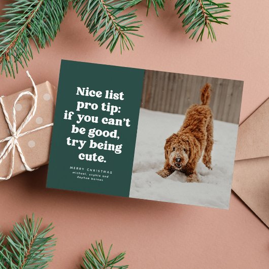 Nice list funny cute green pet photo Christmas シーズンカード