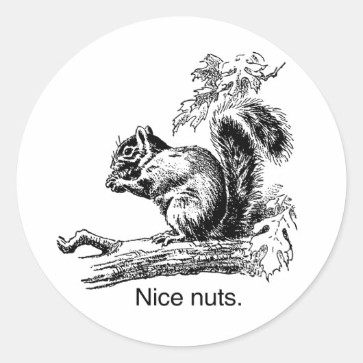 NICE NUTS -.png ラウンドシール (正面)