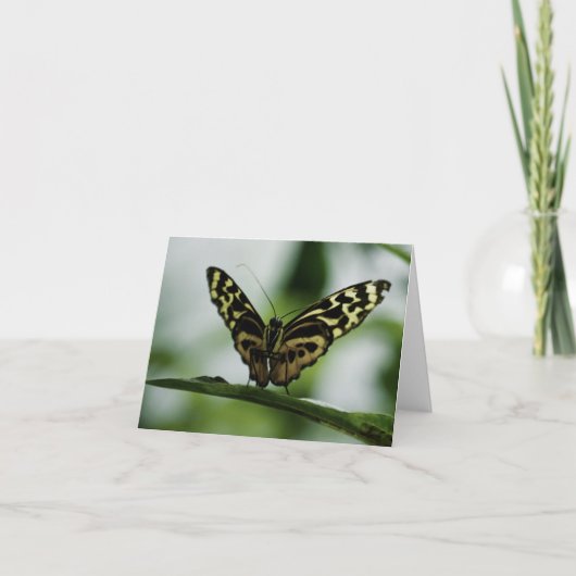 Nice to Meet Youカード カード (正面)