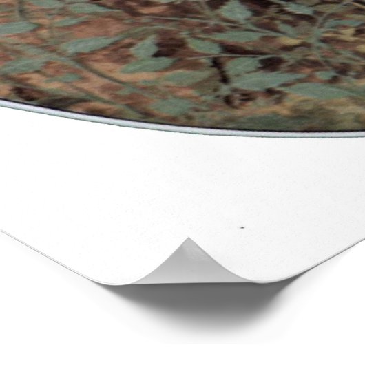 Nicholas Hilliard - Young man among the roses ポスター (角)