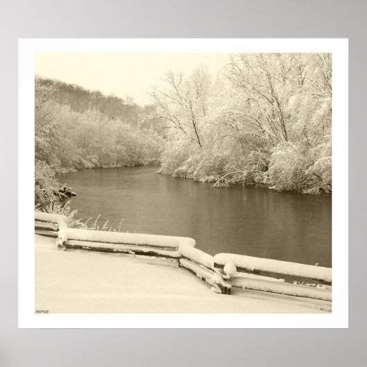 Nichols Arboretum ポスター (正面)