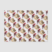 NICKEL-WITH-A-HAT-3 薄葉紙 (正面)