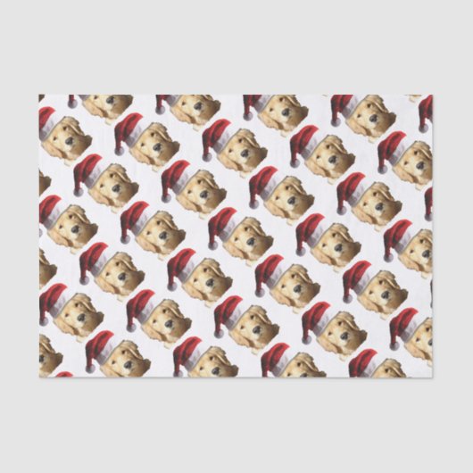 NICKEL-WITH-A-HAT-3 薄葉紙 (正面)