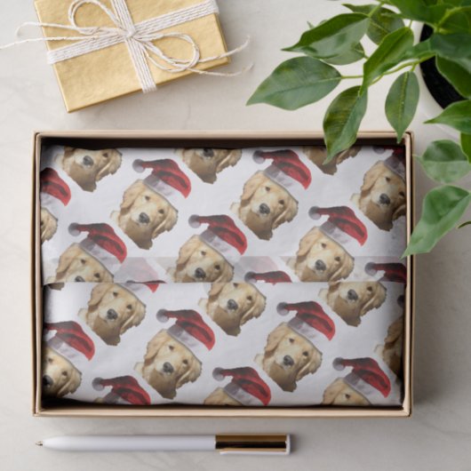 NICKEL-WITH-A-HAT-3 薄葉紙 (ギフト)