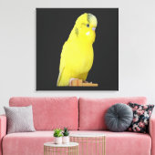 niedlicher gelber Wellensittich  キャンバスプリント (インサイチュ (リビング))