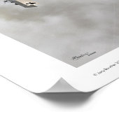 Nieuport Nie.17 ポスター (角)