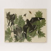 Night Hawk - John James Audubon's Birds of America ジグソーパズル (横)