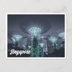 Night Photo of Singapore Gardensはがき ポストカード