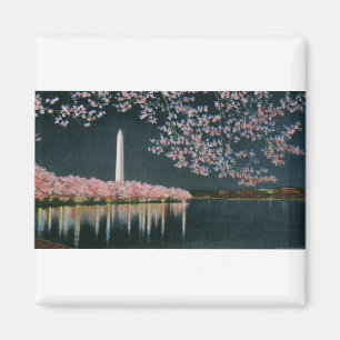 Night.tifのPAU42ワシントン州 マグネット