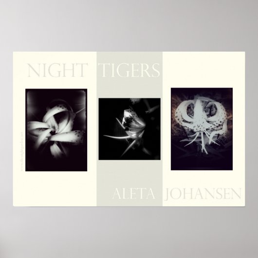 Night Tigersポスター(22.5インチx 15インチ) ポスター (正面)