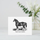 Nightawk StallionProduct 厳選された Multiple ポストカード (スタンド正面)