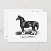 Nightawk StallionProduct 厳選された Multiple ポストカード (正面/裏面)