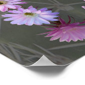 Nightblooming Mandala 5 with Poem ポスター (角)