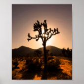 Nightfall begins at Joshua Tree ポスター (正面)