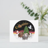 NightFlight - 3モルモット ポストカード (スタンド正面)