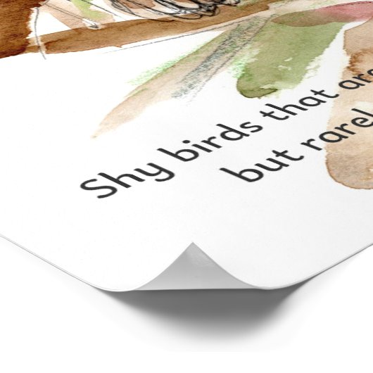 Nightingale Songbird Leaves Trees Drawing ポスター (角)