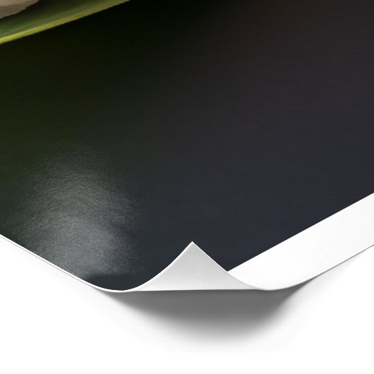 Nigiri sushi on a leaf – minimalist sushi art ポスター (コーナー)