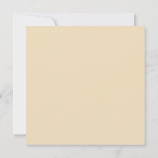 Nikias Logo カード (裏面)