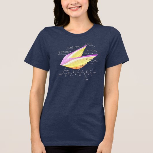 NIKKI peptide, AUC theme, custom text, dark トライブレンドＴシャツ (正面)