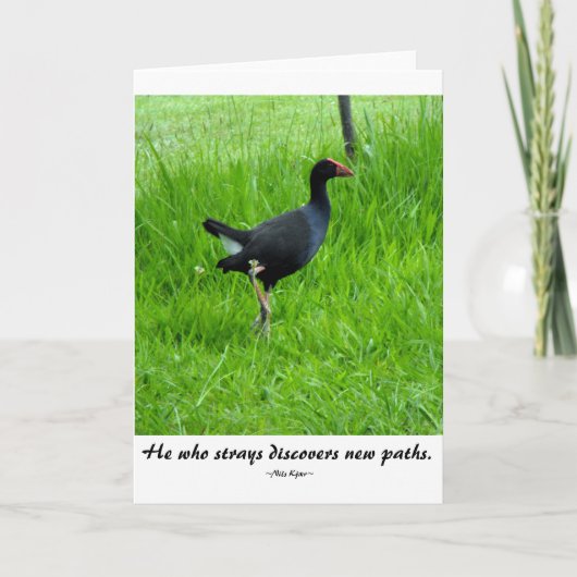 Nils Kjær著旅行引用文 カード (正面)