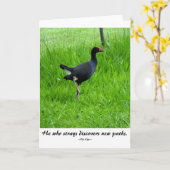 Nils Kjær著旅行引用文 カード (黄色い花)