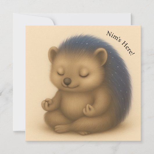 Nimカスタマイズめい想可能な心地よいシリーズ・カード (正面)