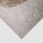 niña y caja de cerillas 薄葉紙 (詳細)