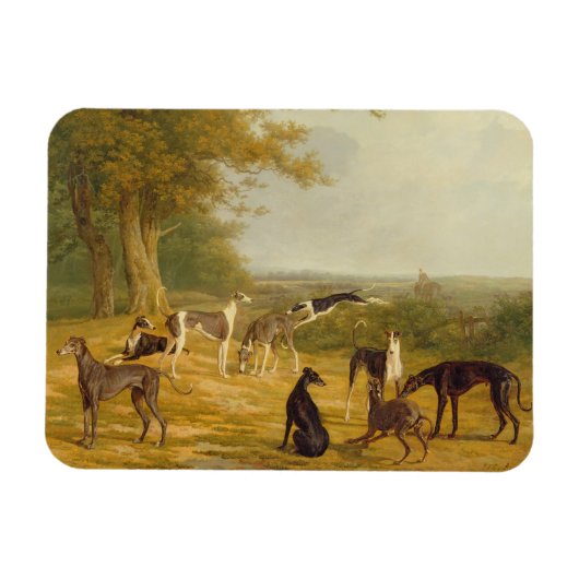 Nine Greyhounds in a Landscape (キャンバス上の油) マグネット (横)
