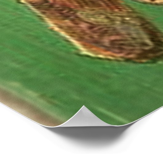 Ninja and Prince Genji ポスター (角)