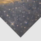 niño con zorro 薄葉紙 (詳細)