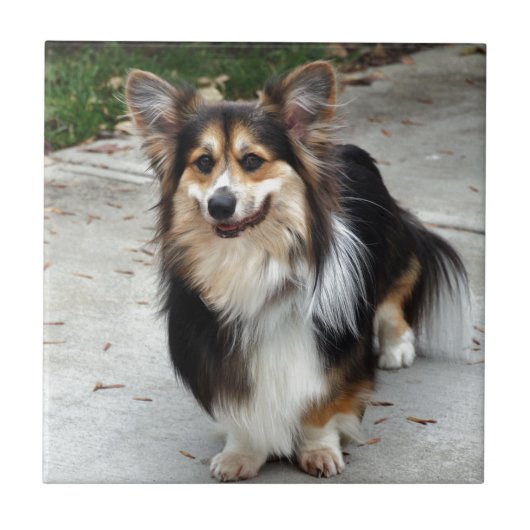 Nipsey タイル (正面)