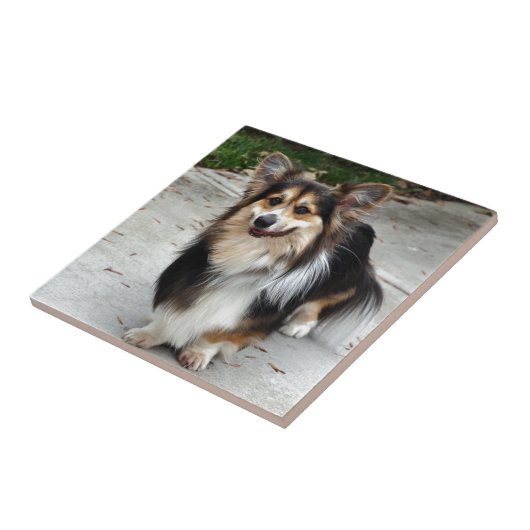 Nipsey タイル (側面)