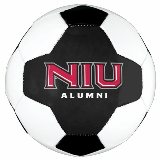 NIUアルミニ サッカーボール (正面)