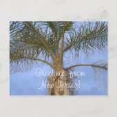 NJからのポストカードパームツリー ポストカード (正面)