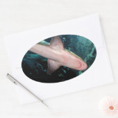 NJシャークCB 楕円形シール (封筒)