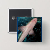 NJシャークCB 缶バッジ (正面&裏面)