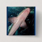 NJシャークCB 缶バッジ (正面)