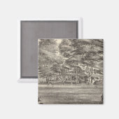 NJスクアン博士の住居 マグネット (正面/裏面)