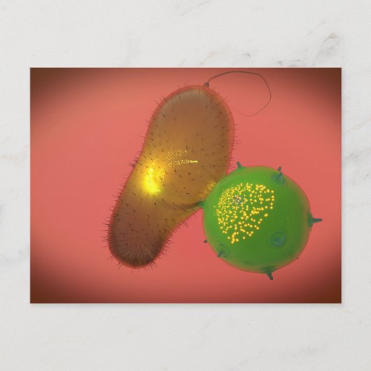 NK細胞は毒素を注入します ポストカード (正面)